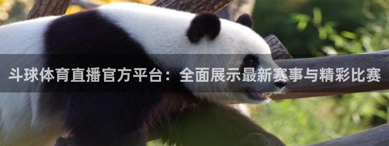 360直播吧在线直播