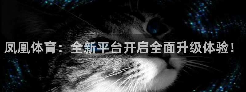 360直播中超联赛
