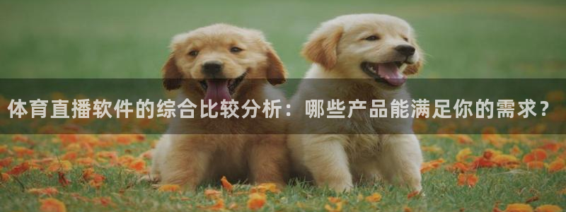 360直播插件体育直播