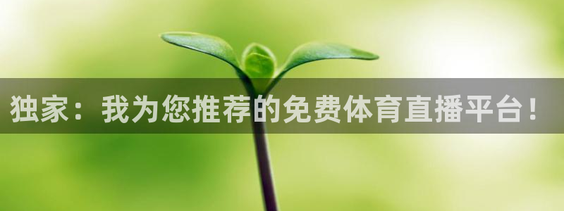 nba最新赛程360直播
