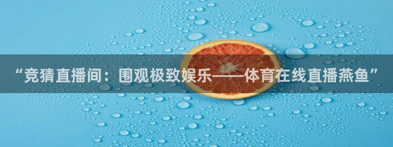360直播体育直播