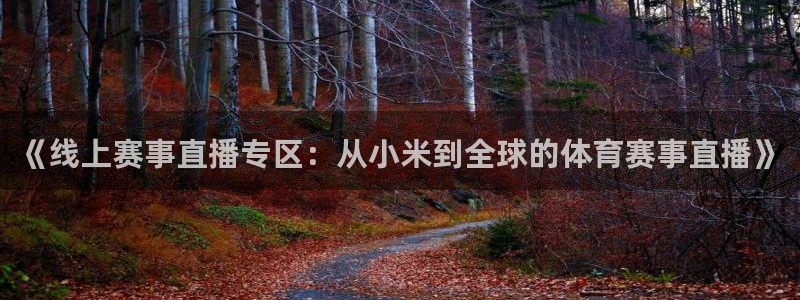 360直播足球直播在线直播