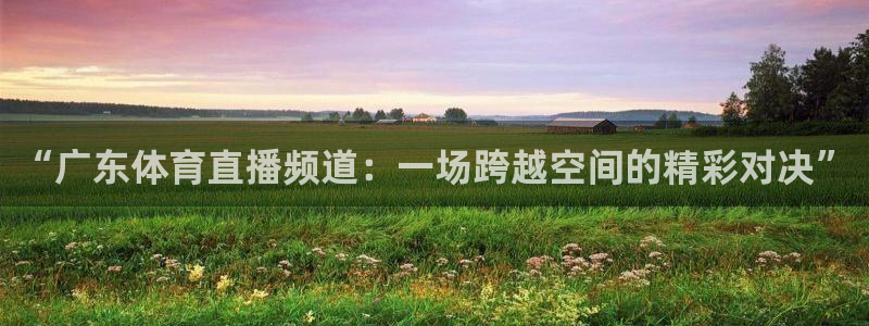 360直播网球在线观看