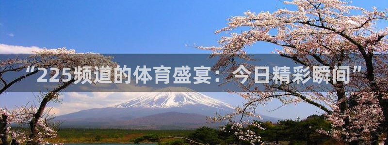 360直播体育足球在线观看