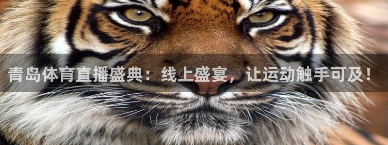 360直播插件体育直播